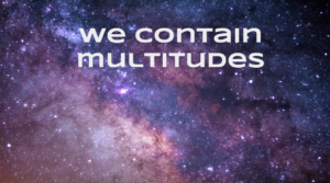 We Contain Multitudes with white letters with a black, purple, and pink universe background