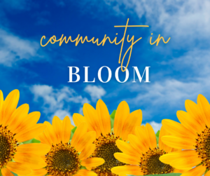 Community In Bloom, blue sky and sunflowers